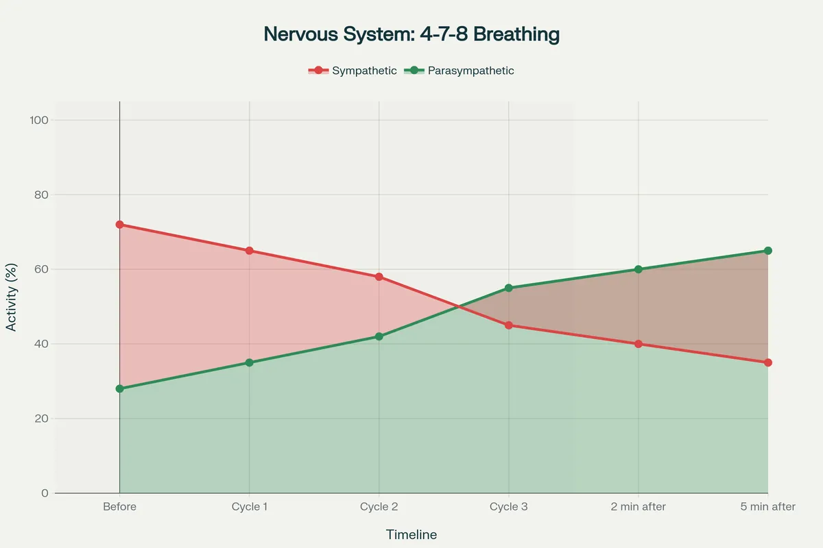 3 Cycles de Respiration 4-7-8 : L'Activation Instantanée du Mode Récupération