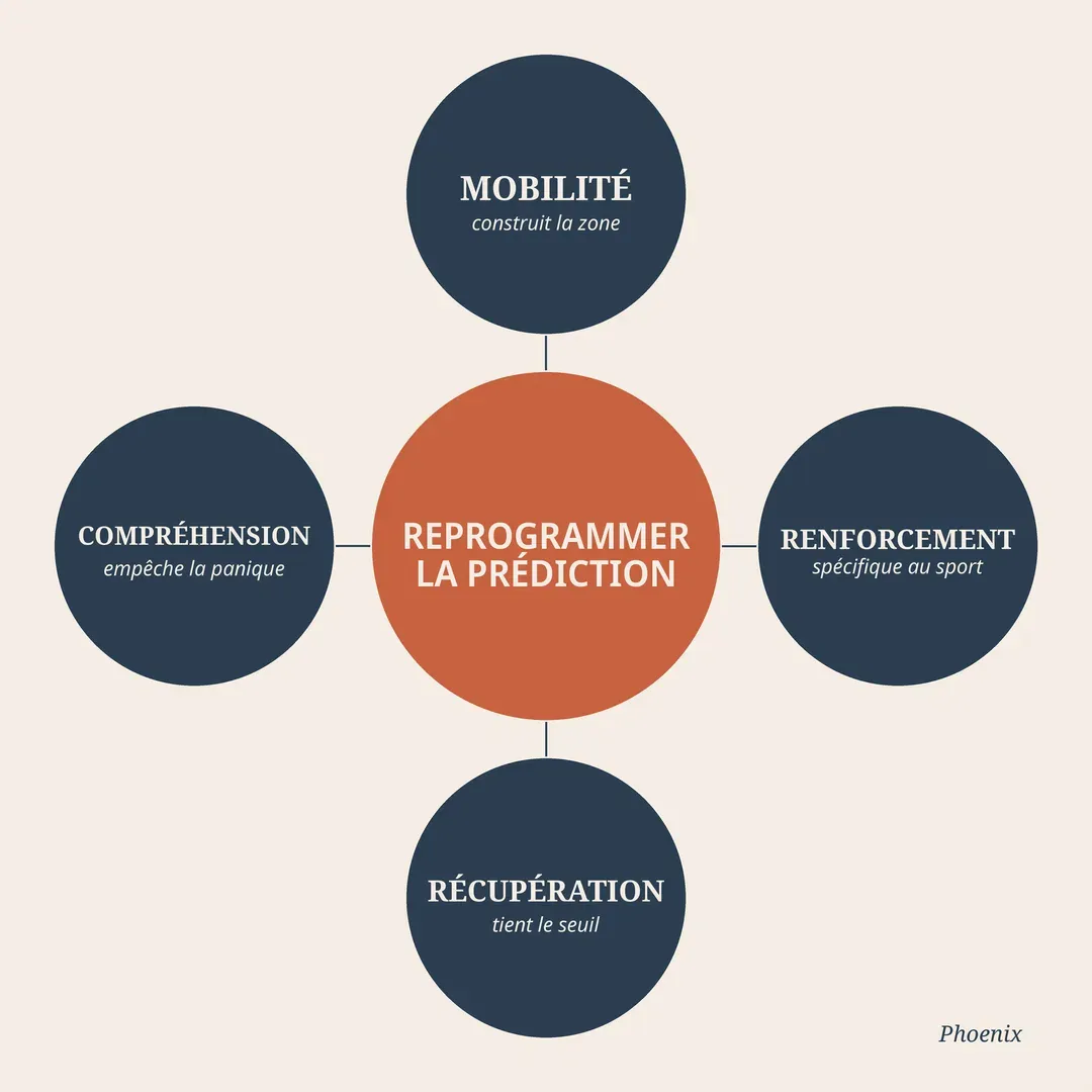 infographie_reprogrammer_prediction_phoenix.png
