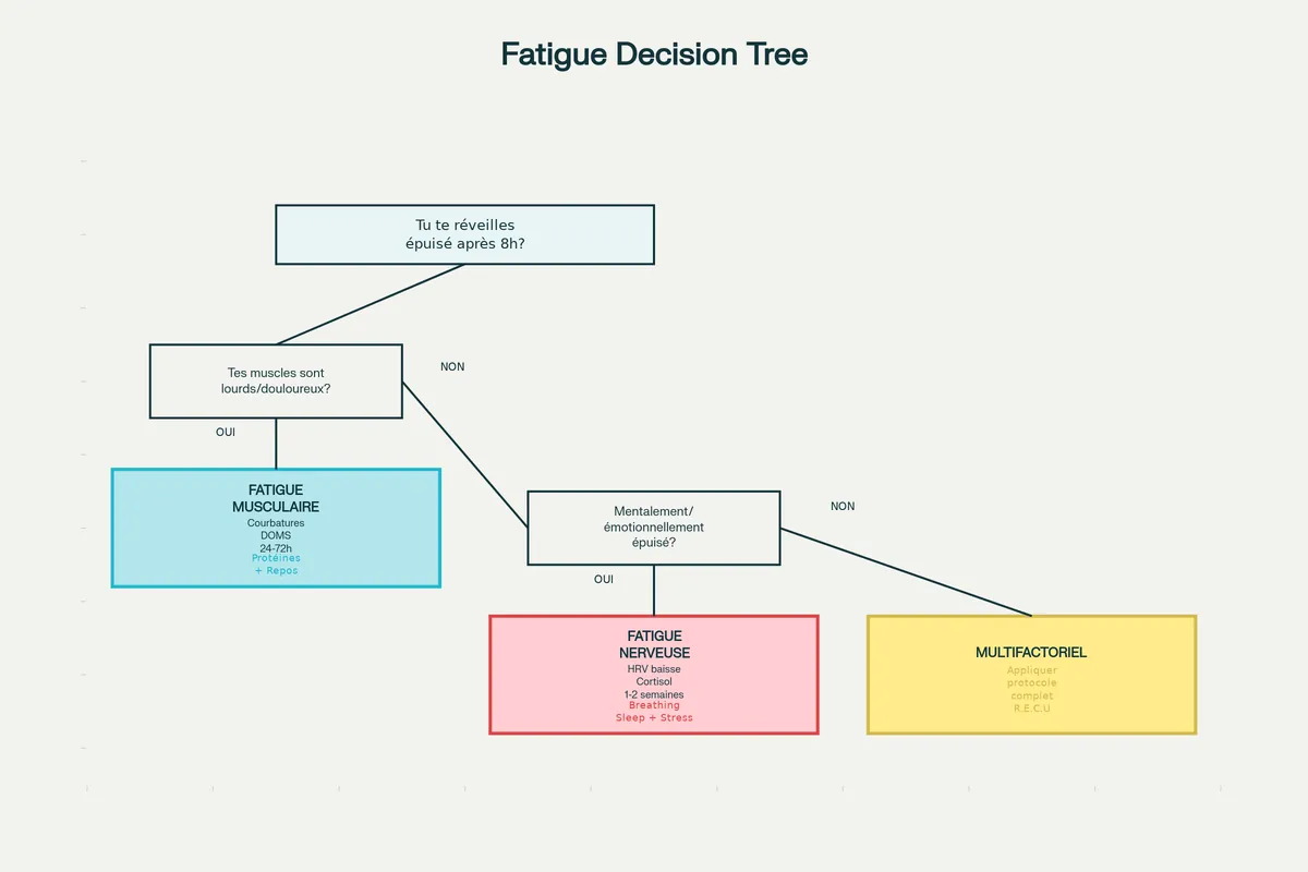 Diagnostic Rapide : Quelle Fatigue as-tu ? (Test 2 minutes)