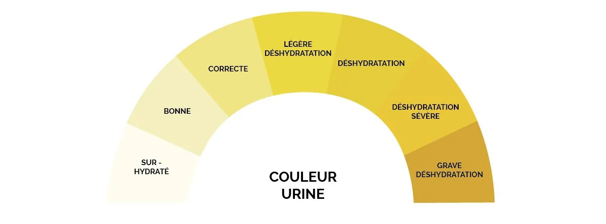 Comment adapter son hydratation à l'effort ? — Dans la Tête ...