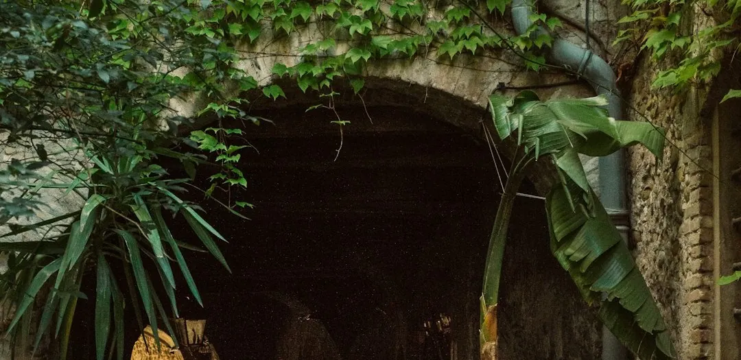 a stone tunnel with plants growing out of it